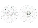 Antenna TrueRC X2-AIR 5.8 MK II RHCP SMA