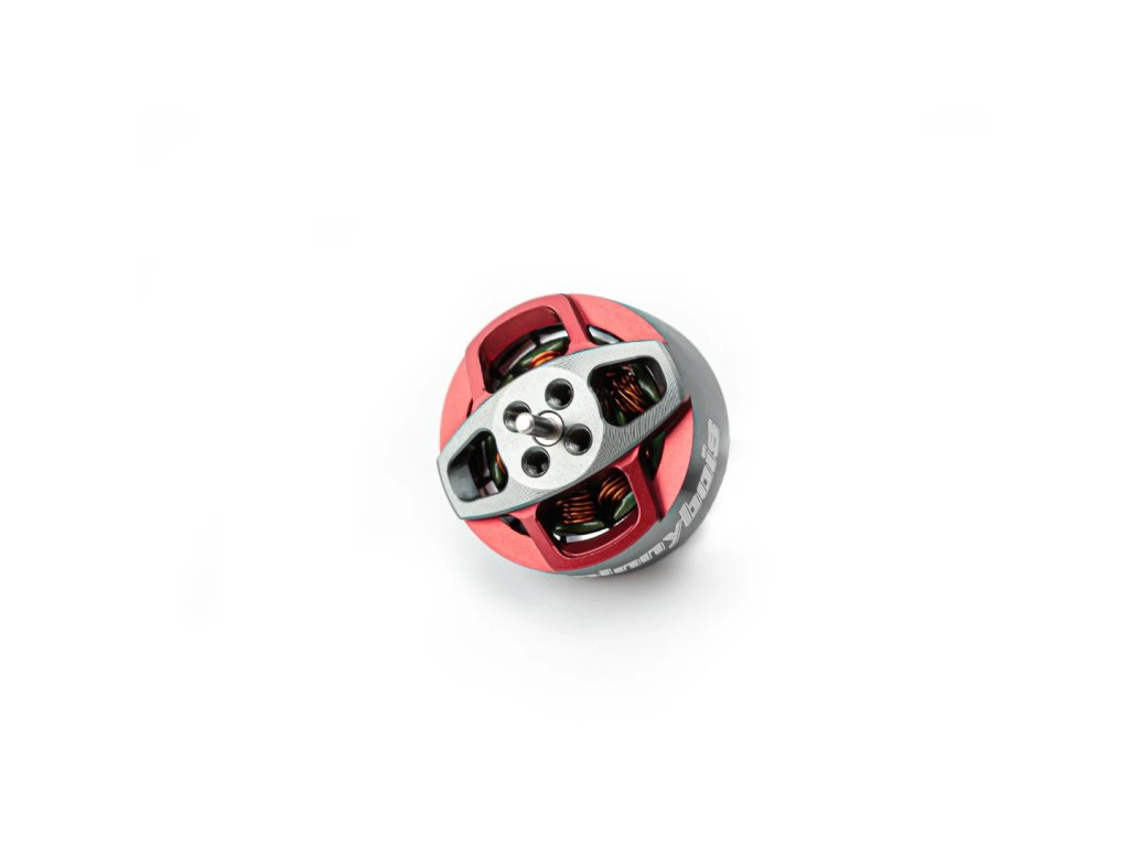 Motor Pilotix 1205 5500KV